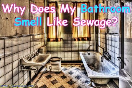 Why Does My Bathroom Smell Like Sewage